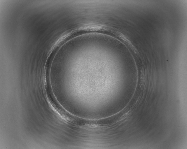X0000080190582200612081429