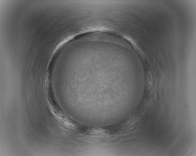 X0000080190583200612081429