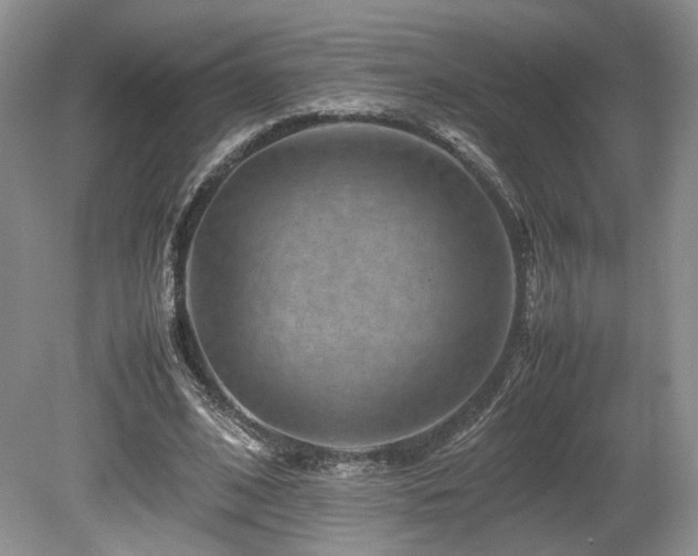 X0000080190584200612081429