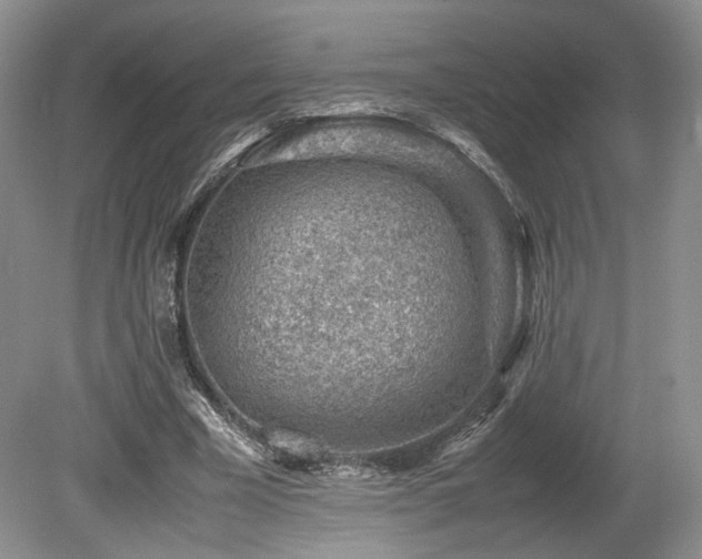 X0000080190585200612081429