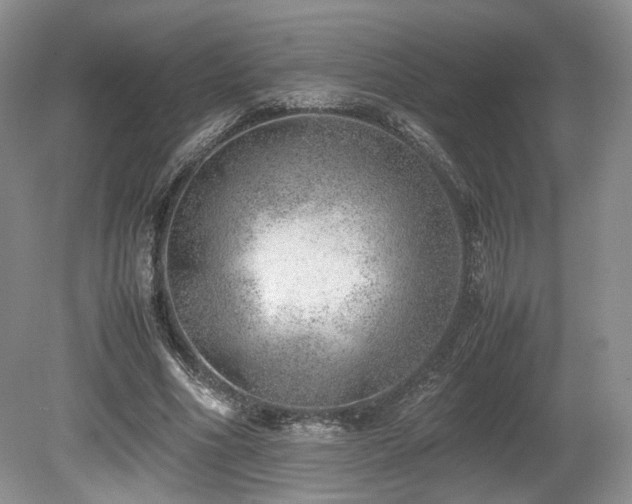 X0000080190586200612081429