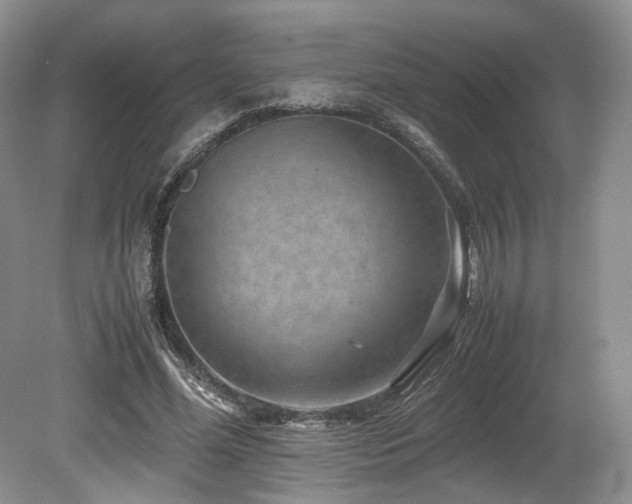 X0000080190588200612081429