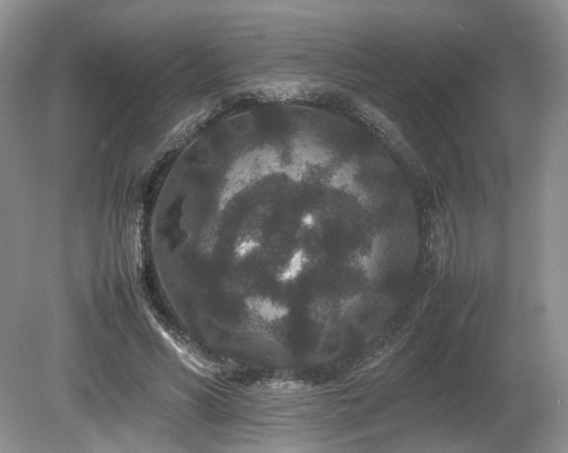 X0000080190590200612081429