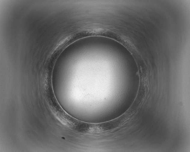 X0000080190591200612081429