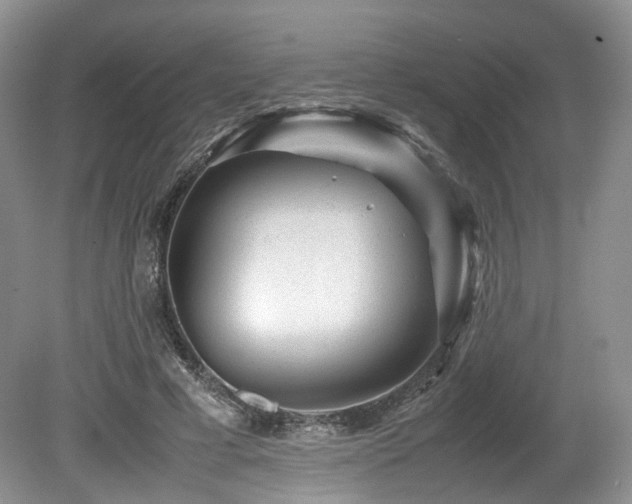X0000080190593200612081429