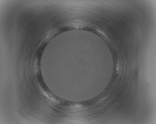 X0000080190594200612081429