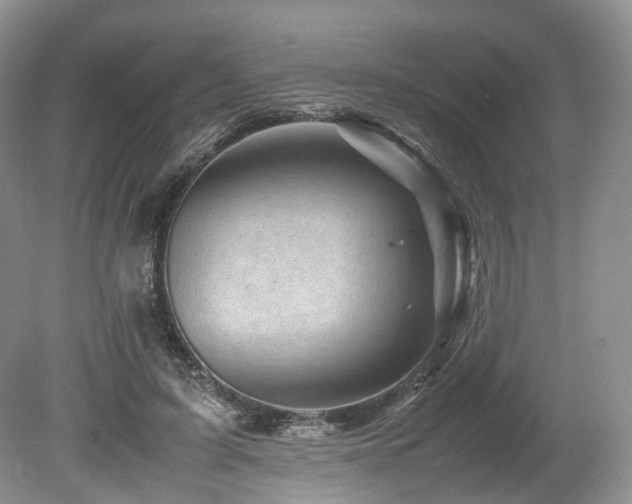 X0000080190595200612081429