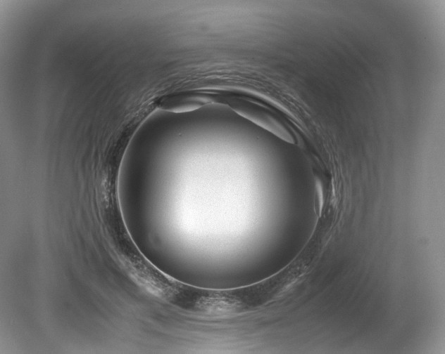 X0000080190597200612081429