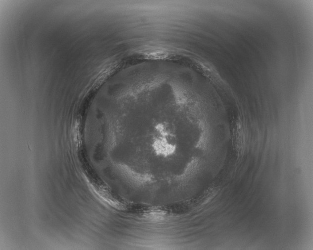 X0000080190598200612081429