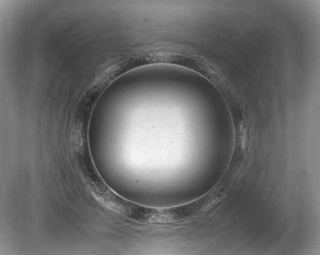 X0000080190599200612081429