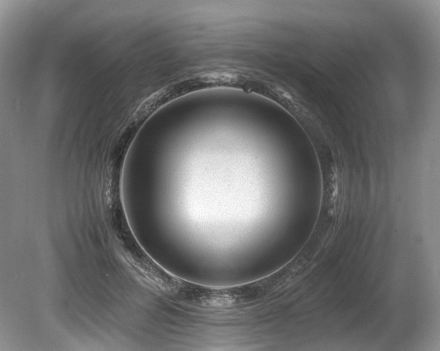 X0000080190600200612081429