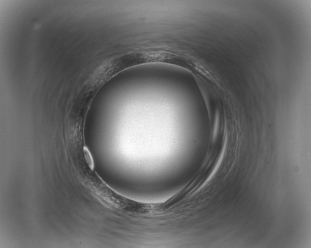 X0000080190601200612081429