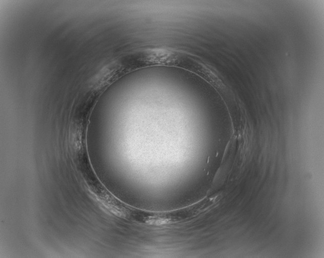 X0000080190602200612081429