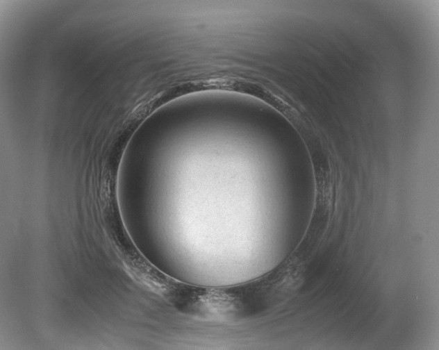 X0000080190603200612081429