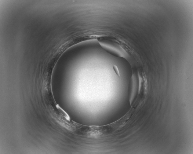 X0000080190604200612081429