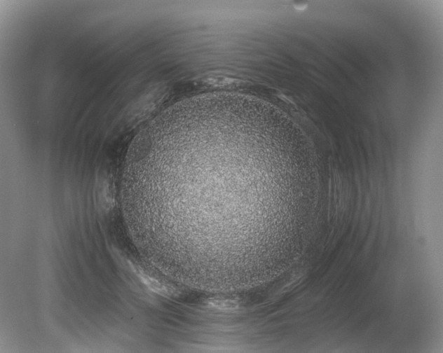X0000080190606200612081429