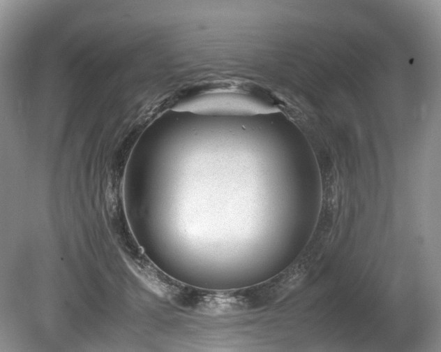 X0000080190607200612081429
