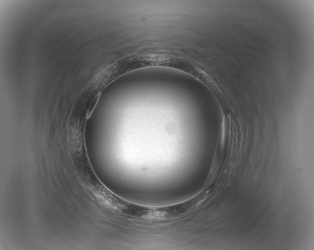 X0000080190609200612081429