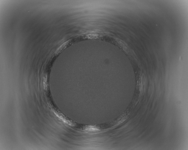 X0000080190610200612081429