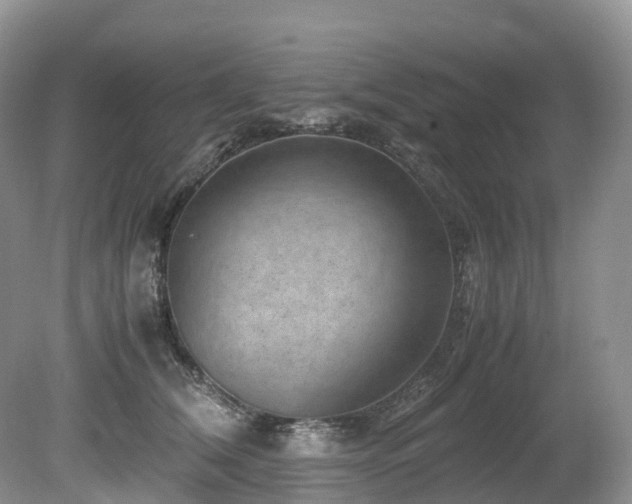 X0000080190612200612081429