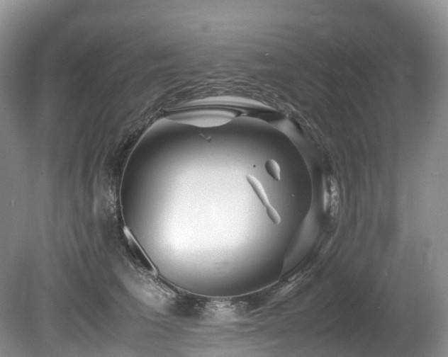 X0000080190613200612081429