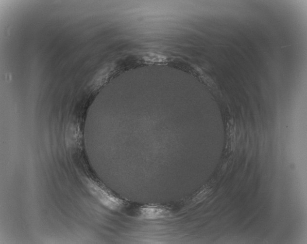 X0000080190614200612081429