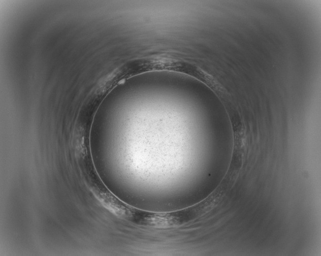 X0000080190615200612081429