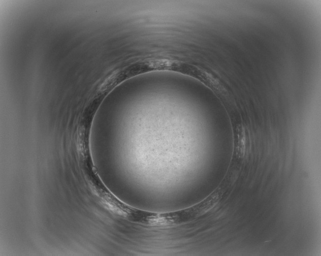 X0000080190616200612081429