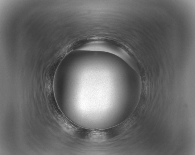 X0000080190617200612081429