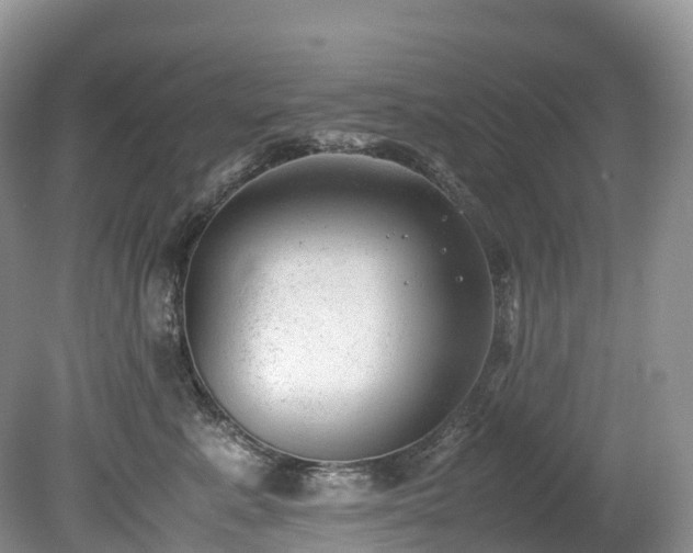 X0000080190619200612081429