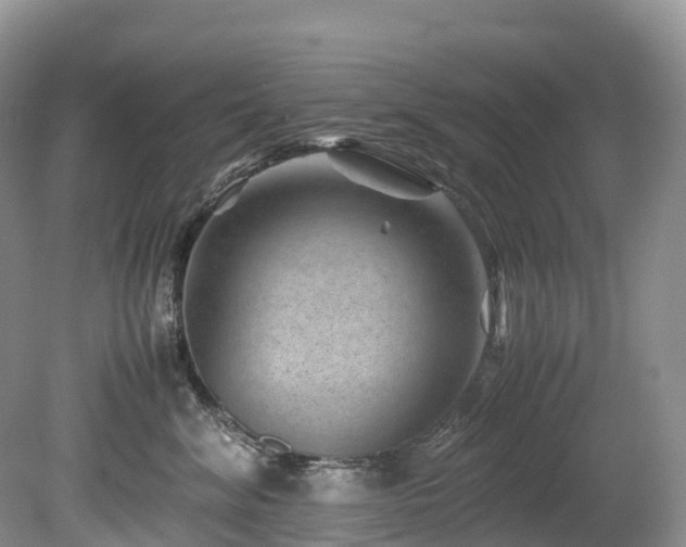 X0000080190620200612081429