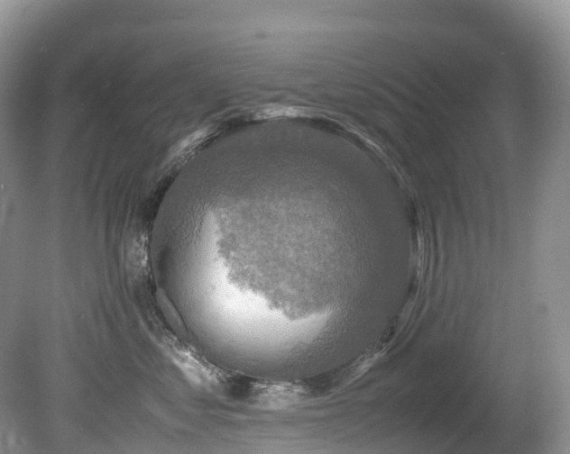 X0000080190621200612081429