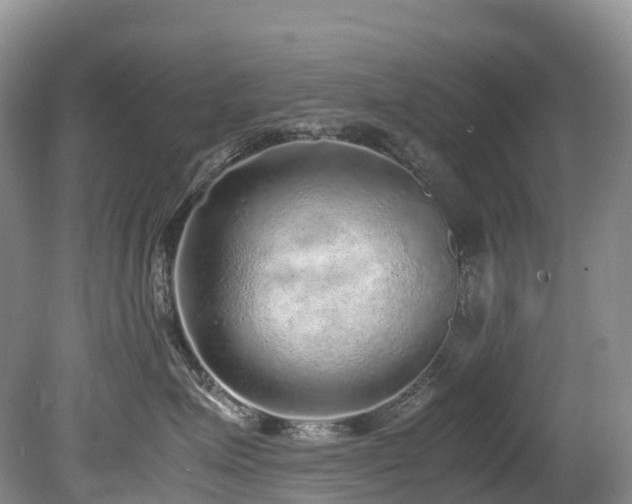 X0000080190623200612081429