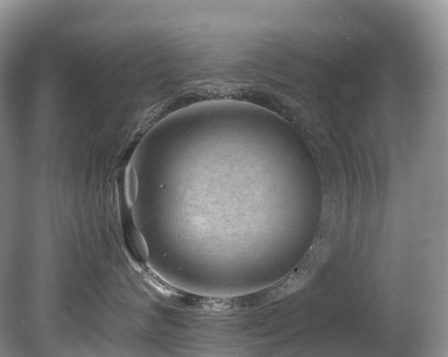 X0000080190624200612081429