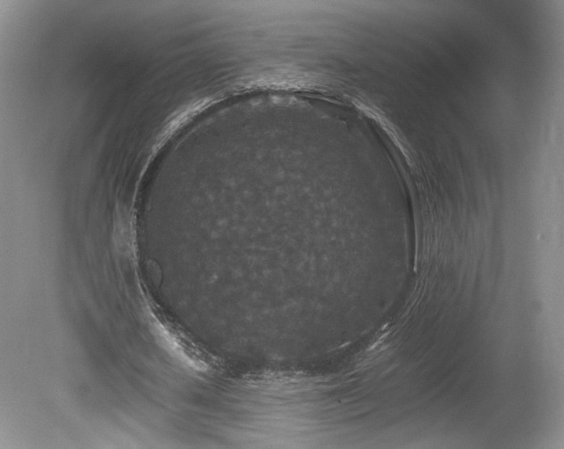 X0000080190626200612081428