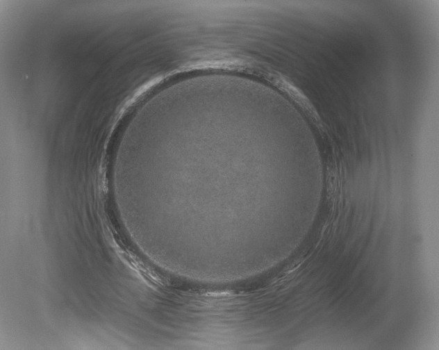 X0000080190628200612081428