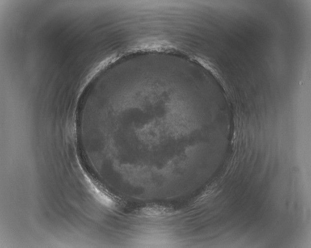 X0000080190630200612081428