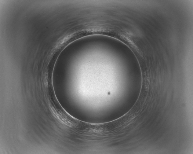 X0000080190631200612081428