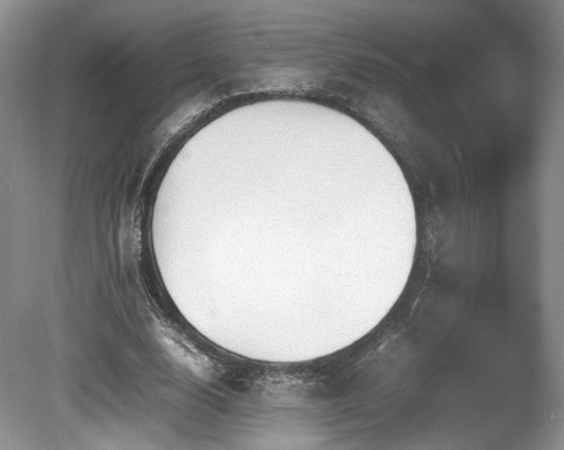 X0000080190632200612081428