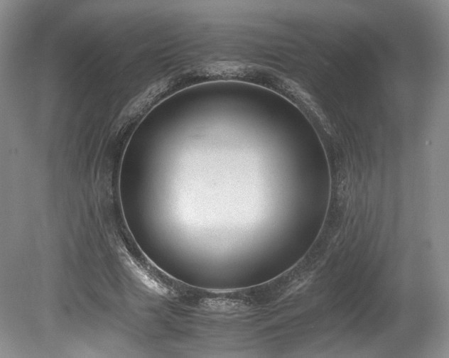 X0000080190633200612081428