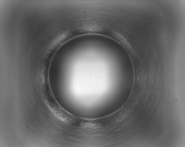 X0000080190635200612081428