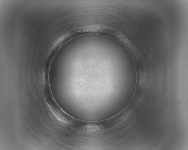 X0000080190636200612081428