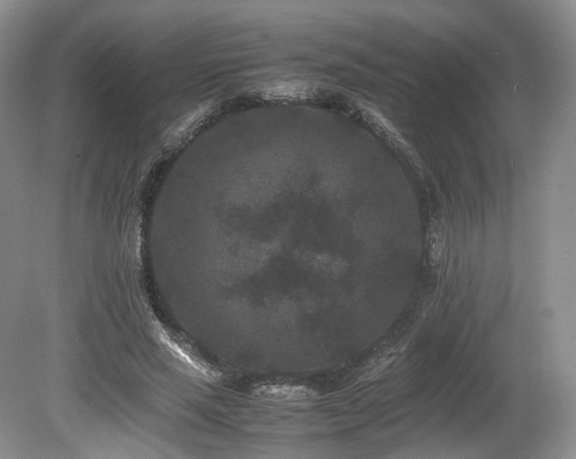 X0000080190637200612081428
