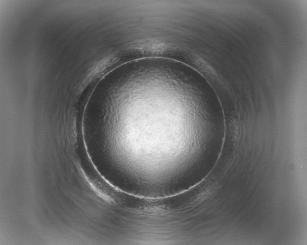 X0000080190638200612081428