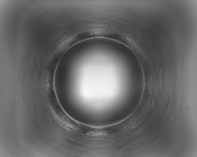 X0000080190639200612081428