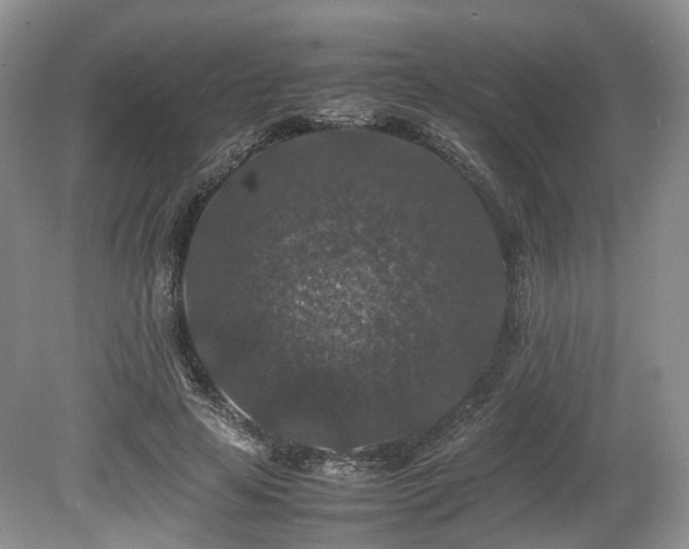 X0000080190641200612081428