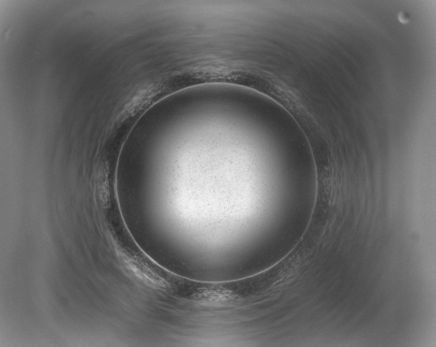 X0000080190642200612081428