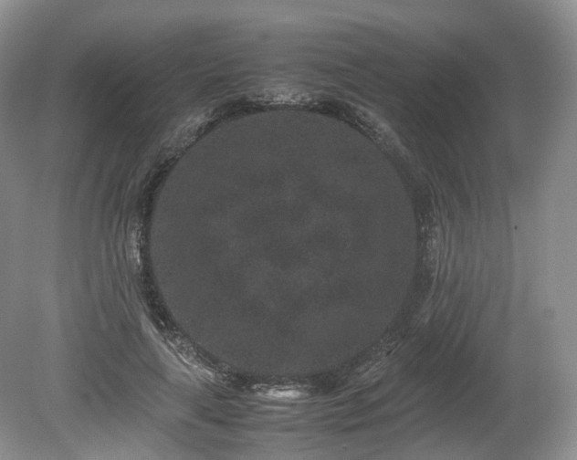 X0000080190643200612081428