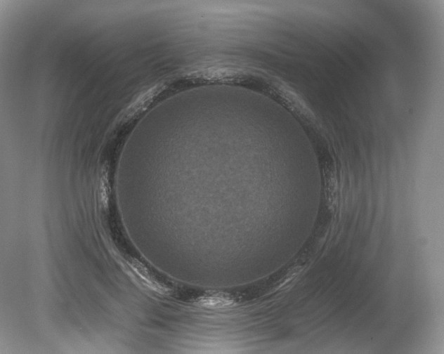X0000080190644200612081428