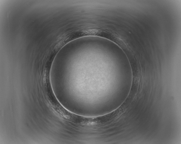 X0000080190647200612081428